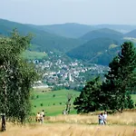 Schneeberg * Willingen (Upland)