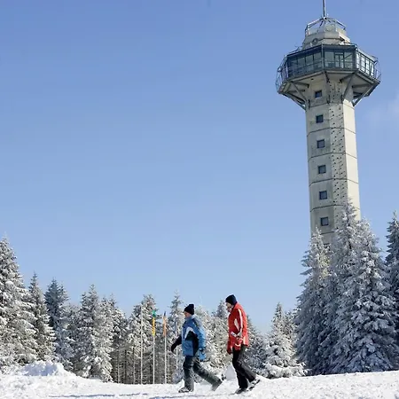 Schneeberg Daire Willingen (Upland)