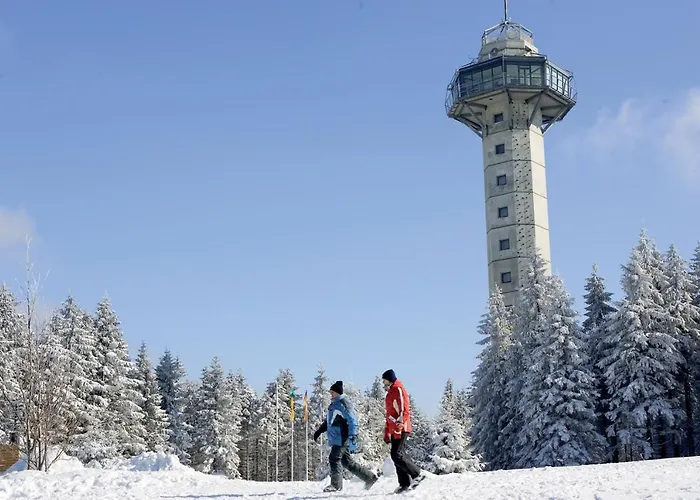 Schneeberg Apartment Willingen (Upland)