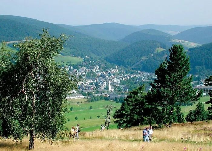 Schneeberg * Willingen (Upland)